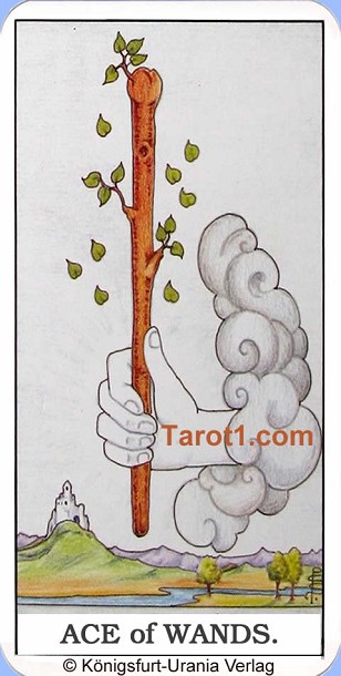 Meaning of Ace of Wands from Rider Waite Tarot