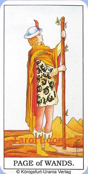 Meaning of Page of Wands from Rider Waite Tarot