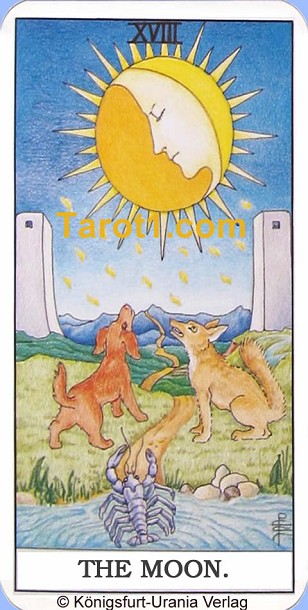 Daily Tarot card tomorrow the Moon, Waite Tarot