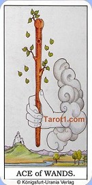 Ace of Wands horoscope in four days 