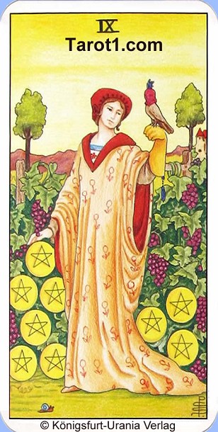 Meaning of Nine of Pentacles from Rider Waite Tarot