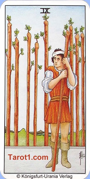 Meaning of Nine of Wands from Rider Waite Tarot
