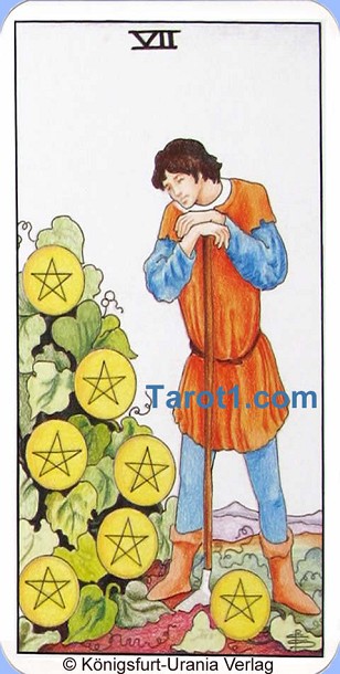 Meaning of Seven of Pentacles from Rider Waite Tarot