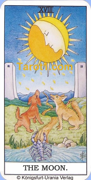 Meaning of the Moon from Rider Waite Tarot