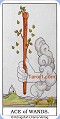 As of Wands Tarot card meaning